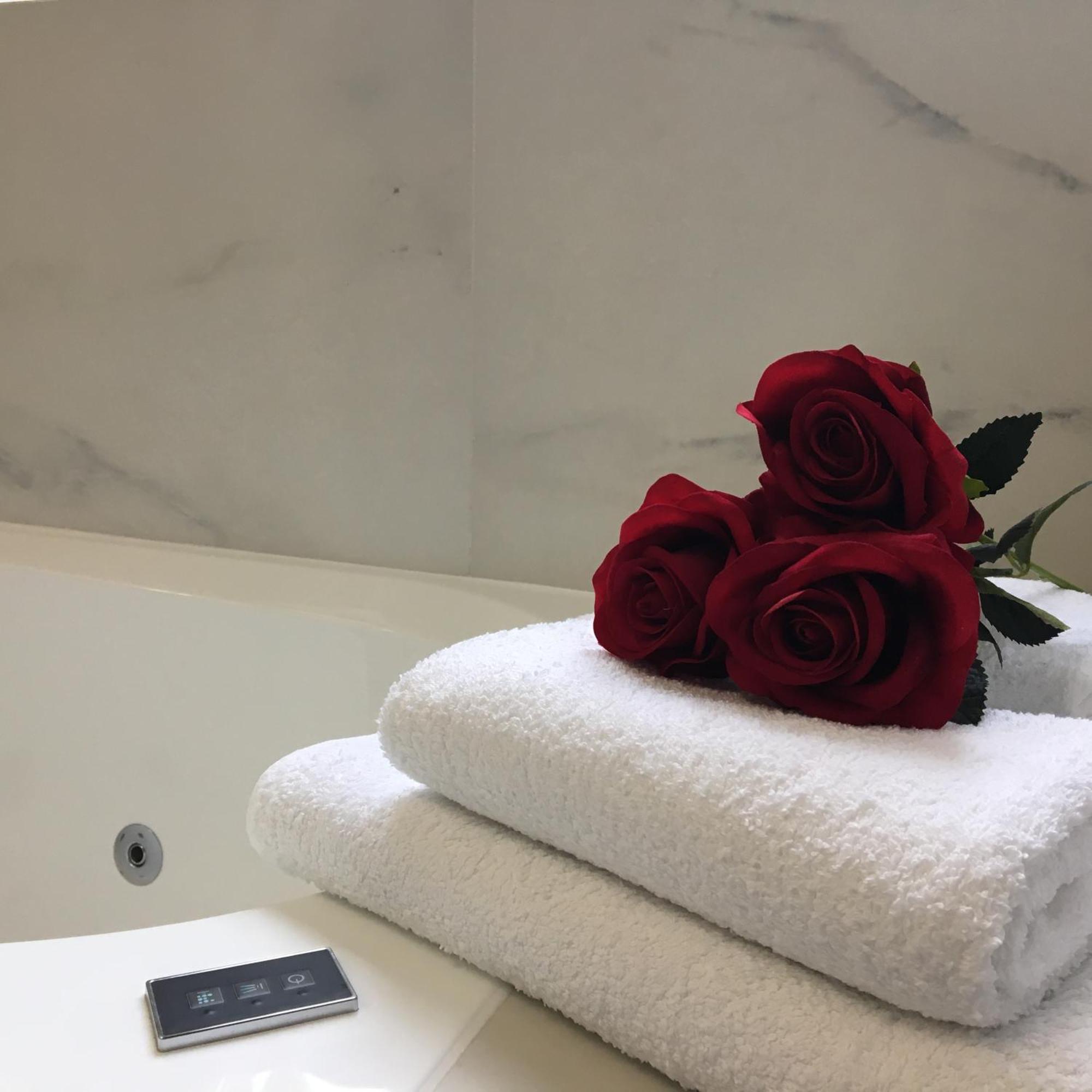 Family & Business Sauna Apartments Sienkiewicza No1 Centrum Plac Lliteratow- Piekny Apartament - 1 Bedroom With Private Sauna, Bath With Hydromassage, Parking キェルツェ エクステリア 写真